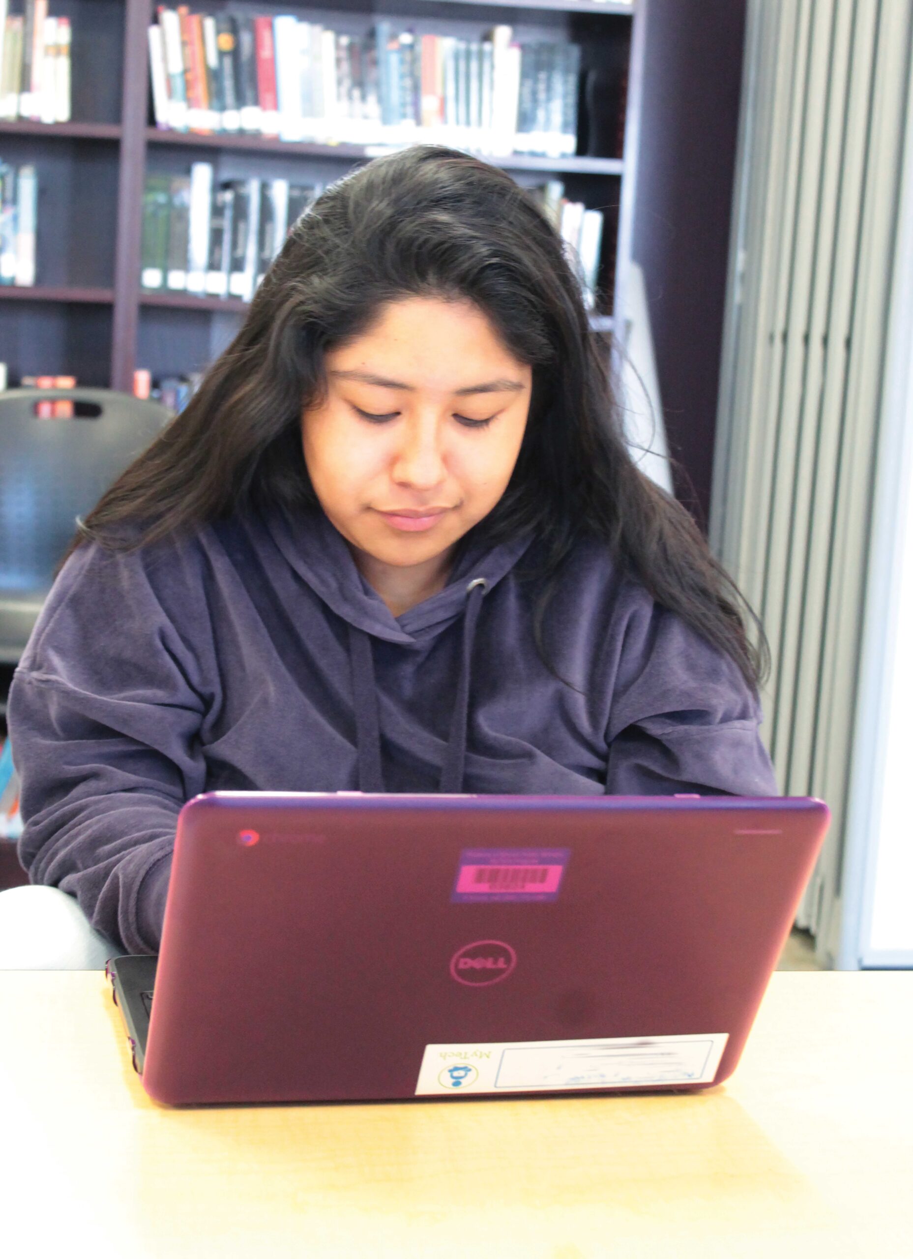 Person focused using a laptop in library.