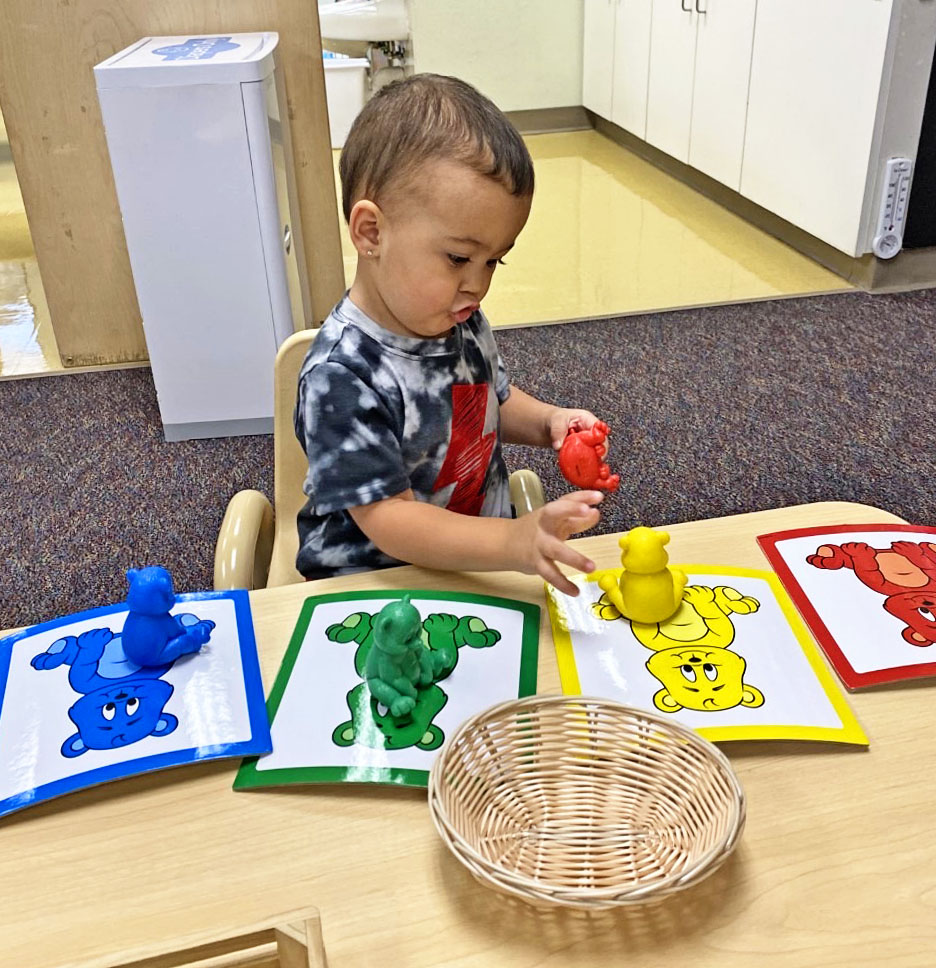 Child matching colored bears to cards at table.